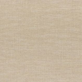 LE LIN 3 | Shinok CHAMPAGNE