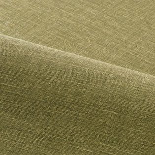 LE LIN 3 | Shinok MATCHA