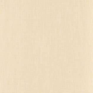 LE LIN 3 | Shinok COQUILLE