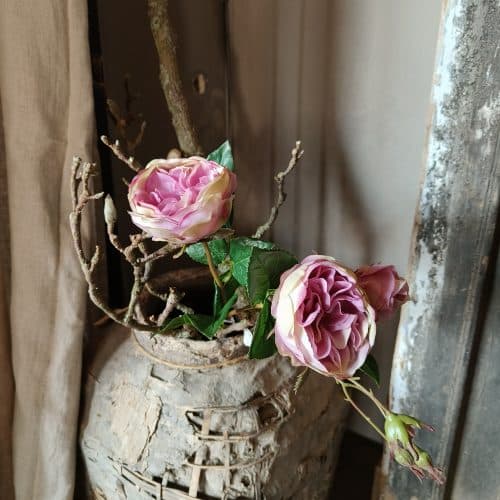 Cabbage rose spray