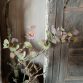 Eucalyptus spray 1