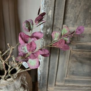 Fall apple leaf