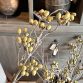 alnus grande green2