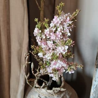 Lilac spray