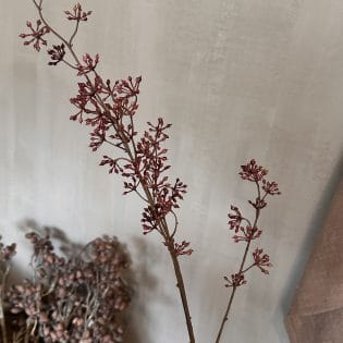 Berry spray light red