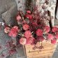Mum spray dark pink4
