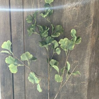 Ginko Spray