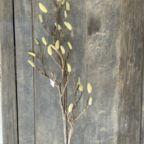 Magnolia Deadwood spray groot