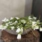 Snow drop boeket
